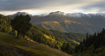 Morning in the mountains / ***