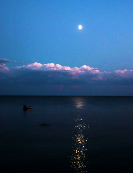 Evening at Sea / ***