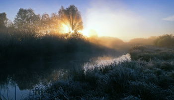 autumn morning / ***