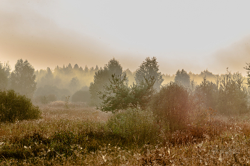 autumn mist / ***