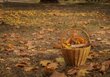 Autumn Poems / ***