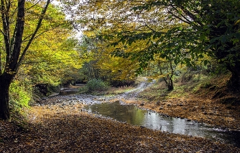 Autumn ... / ***