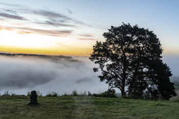 At dawn / ...