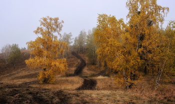 autumn trails / ***