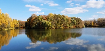 In anticipation of the fall ... / ***