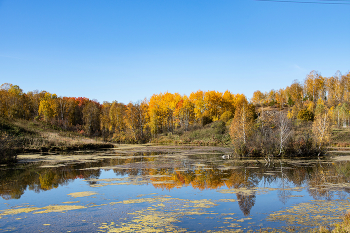 Village pond / ***