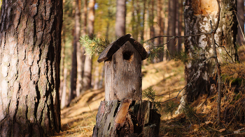 An old house. / ...