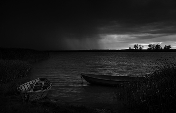 Rain / ***