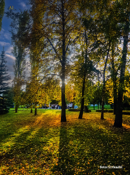 colors of autumn / ***