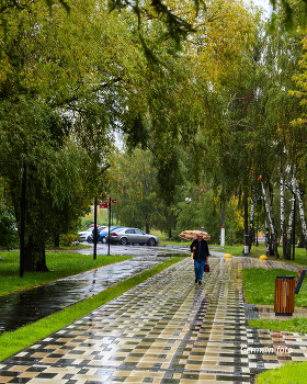Rain / ***