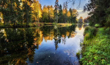 mirror autumn / ***