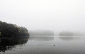 Fogs / ***