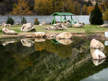 Reflection / ***