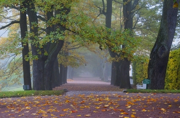 Autumn / ***
