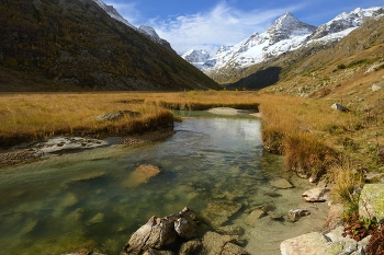 Morning in the mountains / ***