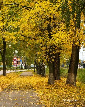 Autumn in full swing / ***