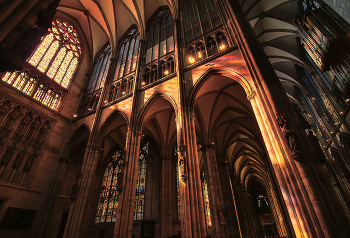 in the Cathedral / ***