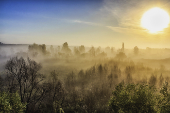 Autumn morning mist / ***