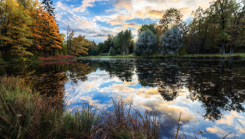 Fascinating Fall / ***