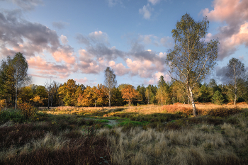 Evening at Sea / ***