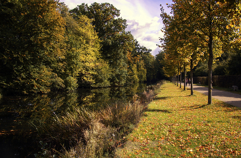 in the park / ***