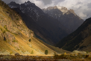 Morning in the mountains / ***