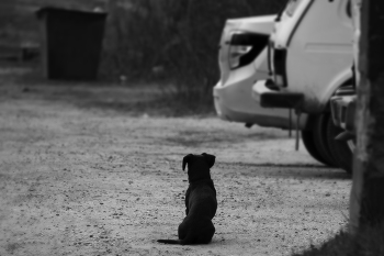 At the crossroads / ...