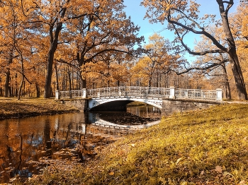 In autumn park / ***