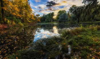 Autumn Gatchina / ***