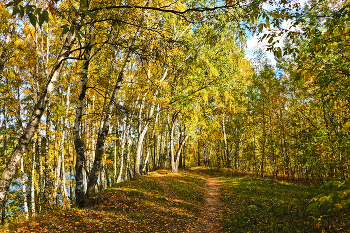 Autumn in the city / ***