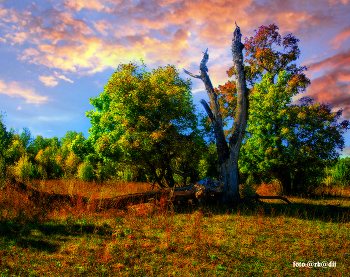 Autumn colors. / ***