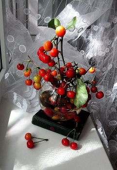 Still life / ***