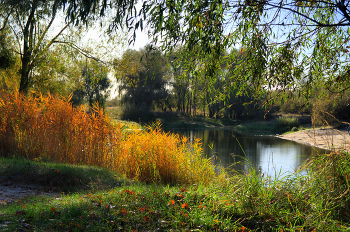 Backwater / ***