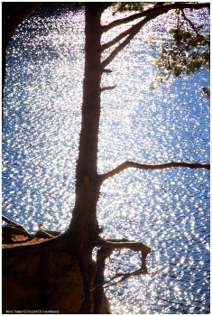 High Noon / ***