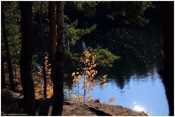 Autumn / ***