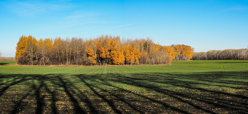 Autumn contrasts / ***