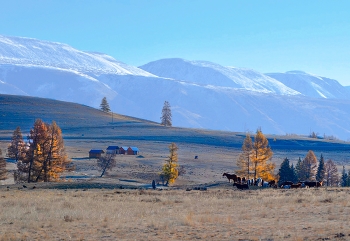 Altay / ***