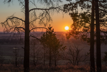Autumn Sun / ...