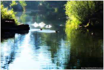 Morning bath / ***