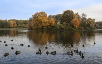 Autumn in the city / ***