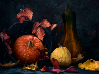 Stil life with pumpkins / ***