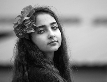 Gipsy / ***