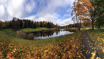 Autumn / ***