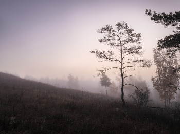 Time fogs / ***