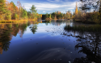 Autumn tenderness / ***