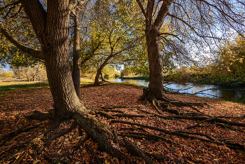 October ... / ***