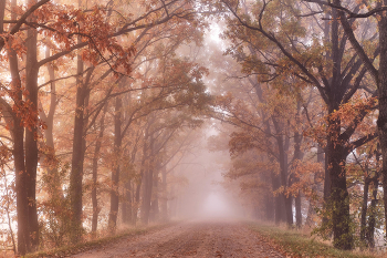 Autumn lost road / ***