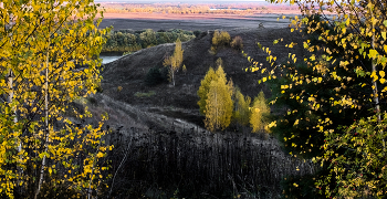 Autumn landscape. / ***