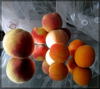 apples / ***