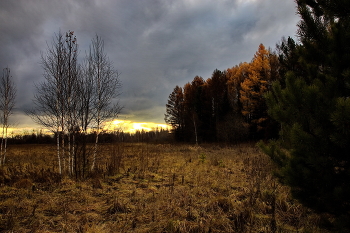 Autumn evening / ***